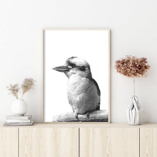 50cmx70cm Kookaburra Black Frame Canvas Wall Art