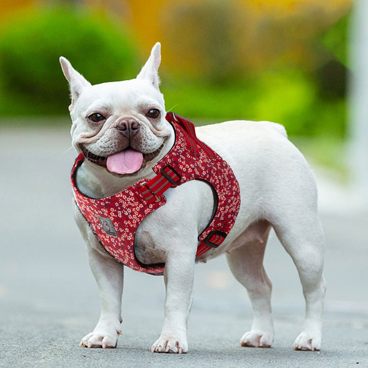 Floral Doggy Harness Red XS
