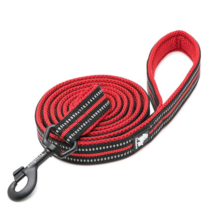Reflective Pet Leash 2 meters Red M