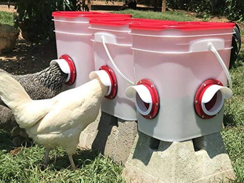 Cheecky Chooka DIY Poultry Feeder Port 4pk