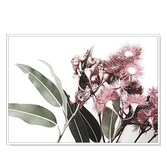 60cmx90cm Eucalyptus in Bloom White Frame Canvas Wall Art