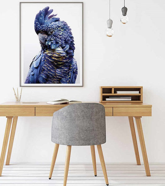 60cmx90cm Black Cockatoo A Black Frame Canvas Wall Art