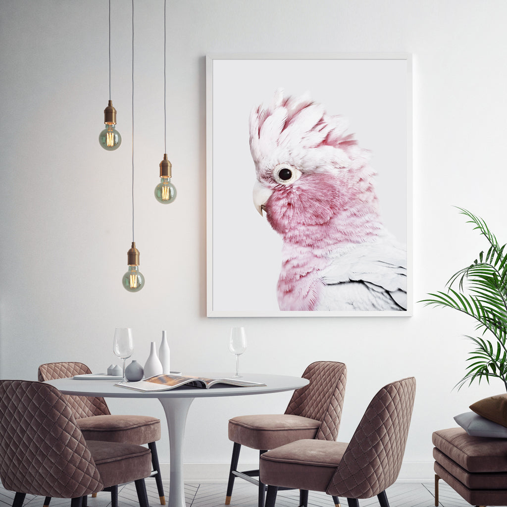 60cmx90cm Pink Galah White Frame Canvas Wall Art