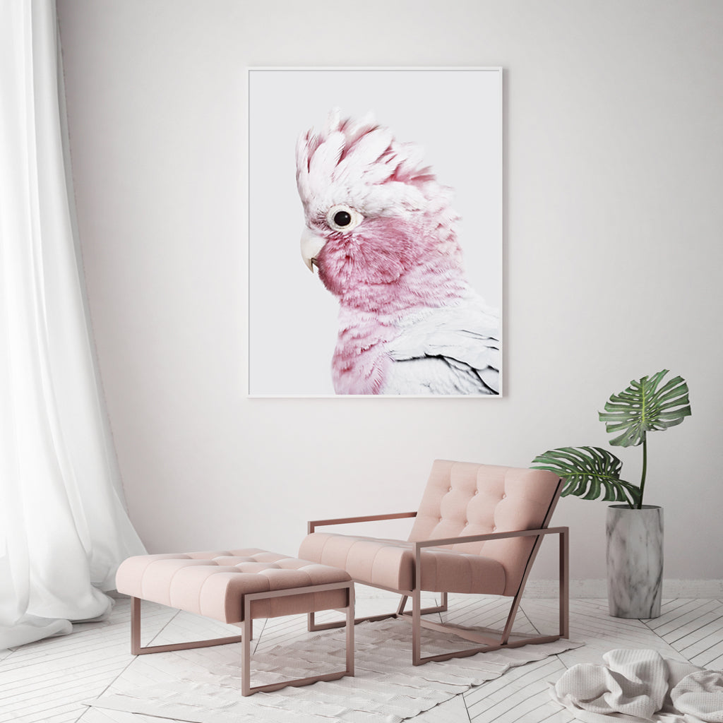 80cmx120cm Pink Galah White Frame Canvas Wall Art