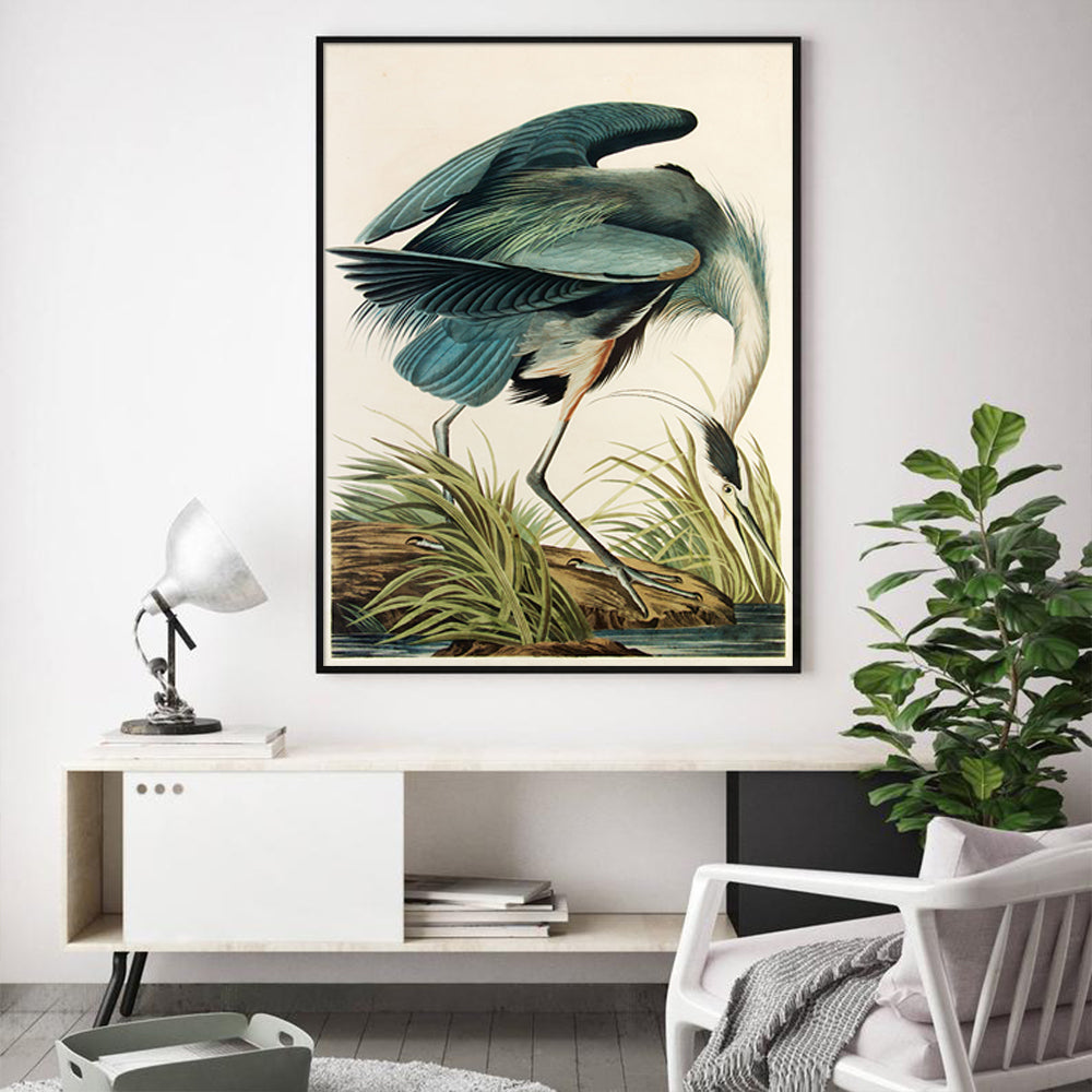 80cmx120cm Great Blue Heron By John James Audubon Black Frame Canvas Wall Art