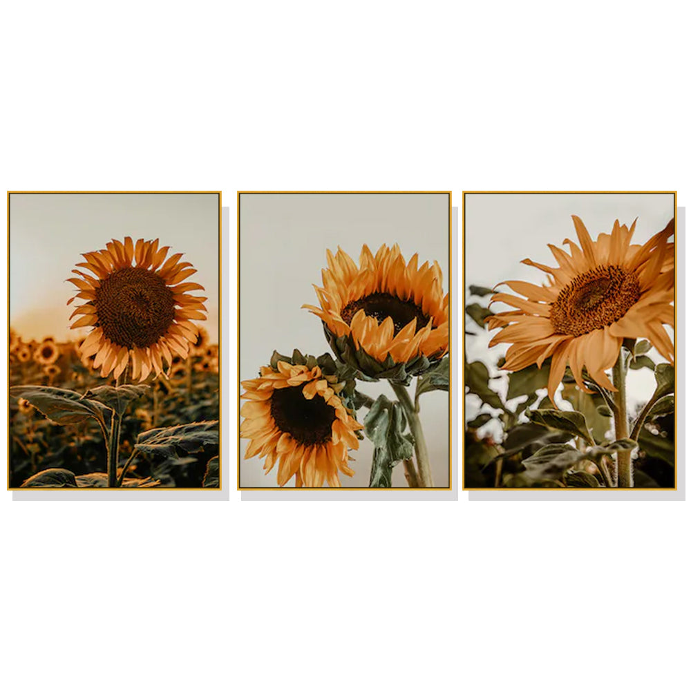 70cmx100cm Sunflower 3 Sets Gold Frame Canvas Wall Art