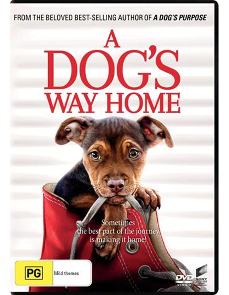 A Dog's Way Home DVD